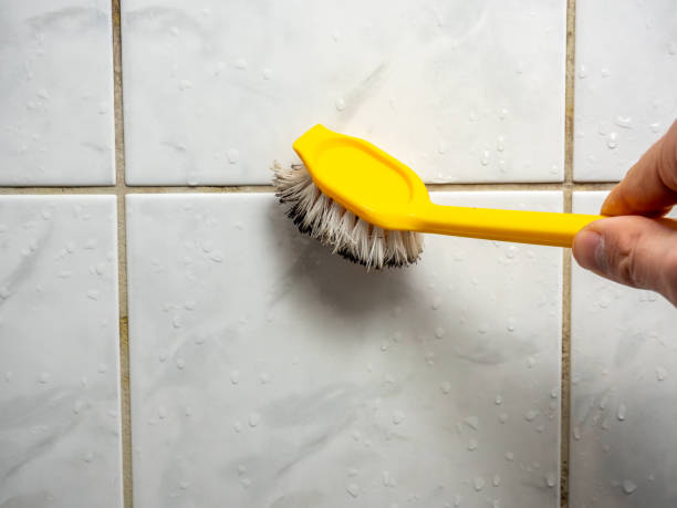 Best Commercial Mold Removal  in Wabasha, MN