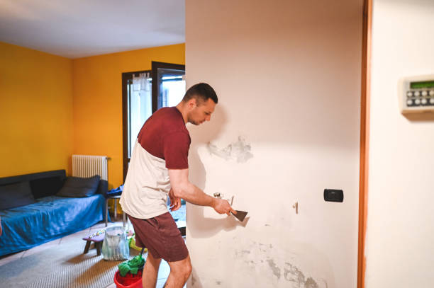 Best Attic Mold Removal  in Wabasha, MN
